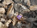 DSCN1235