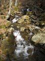 DSCN1241