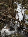 DSCN1242