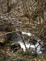 DSCN1244