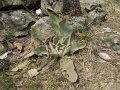 DSCN1245