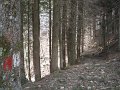 DSCN1280