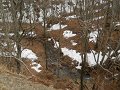 DSCN1284