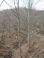 DSCN1288