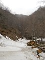 DSCN1309