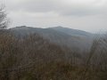 DSCN1314