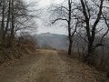 DSCN1316