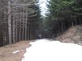 DSCN1321