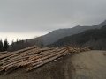 DSCN1325