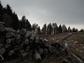 DSCN1326