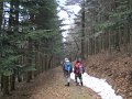 DSCN1332