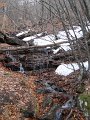 DSCN1348