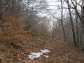 DSCN1366