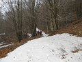 DSCN1368