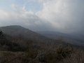 DSCN1390