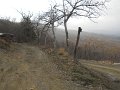 DSCN1404