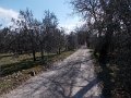 DSCN5117
