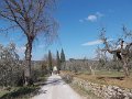 DSCN5119