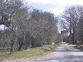 DSCN5127