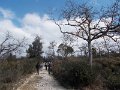 DSCN5129