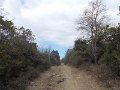 DSCN5142