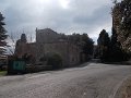 DSCN5143
