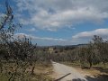 DSCN5148