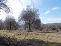 DSCN5171
