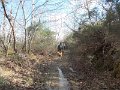 DSCN5175