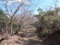 DSCN5179