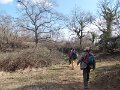 DSCN5181