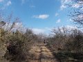 DSCN5192