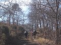 DSCN5211