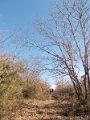 DSCN5226