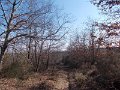DSCN5229