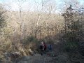 DSCN5237