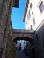 DSCN5265