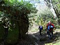 DSCN0344