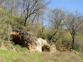 DSCN0360