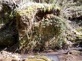 DSCN0375
