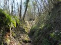 DSCN0376