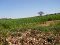 DSCN0396
