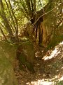 DSCN0417