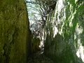 DSCN0424