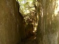 DSCN0428