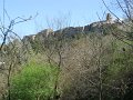 DSCN0480