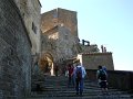 DSCN0493