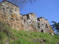 DSCN0531