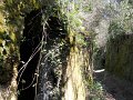 DSCN0542