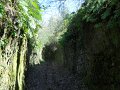 DSCN0545